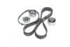 Ремкомплекты привода ГРМ автомобилей PowerGrip Kit Gates K015534XS (фото 4)