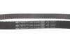 К-кт паса ГРМ Citroen Jumpy/Peugeot Expert 2.0HDi 07- Gates K015672XS (фото 10)