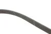 Фото 3 - ремкомплекти приводу допоміжного обладнання автомобілів Micro-V Kit Gates K015PK1750 Ремкомплекти приводу допоміжного обладнання автомобілів Micro-V Kit Gates K015PK1750 (фото 3)