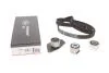 Комплект ГРМ 1.9D Kangoo 97-03/Clio 91-05/Rapid 94-98 (с шестерней) K025484XS