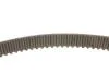К-кт паска ГРМ(5492XS+531 0499 20+532 0161 10+533 0032 20) VAG 1.8/1.8Turbo 20V 1.995- (153z) Gates K025492XS (фото 3)