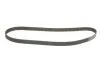 Комплект ремня ГРМ Citroen C5/Peugeot 406/807 00- Gates K025558XS (фото 2)