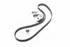 Ремкомплекти приводу ГРМ автомобілів PowerGrip Kit Gates K035223XS (фото 4)