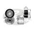 Натяжник поліклинового паска Citroen/Peugeot/Fiat 1.4HDi, 1.6HDi/D Multijet, 2.2HDi 09.01- T38458