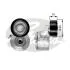 Натяжник поликлинового кулича Citroen/Peugeot/Fiat 1.4HDi, 1.6HDi/D Multijet, 2.2HDi 09.01- T38458