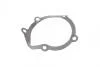 Помпа води Citroen Berlingo/Peugeot Partner 1.9D/TD (XUD) 96- (20z) GRAF PA391 (фото 8)