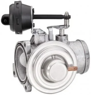 Клапан повернення ОГ HELLA 6NU 010 171-161 (фото 1)