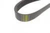 Полікліновий ремінь Poly V® (1105 K 6) HUTCHINSON 1105K6 (фото 4)