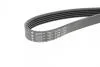 Ремінь поліклінової 5PK1175 HUTCHINSON 1175K5 (фото 4)
