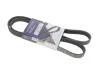 Ремінь поліклінової 5PK1300 (1300K5) Hutchinson