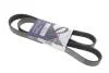 Ремень поликлиновой 6PK1310 (1310K6) Hutchinson