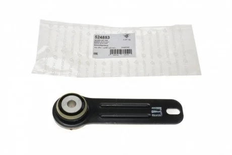 Сайлентблок балки Citroen C5/Peugeot 407 2.7HDI; 3.0HDi (05-08) HUTCHINSON 524853