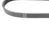 Ремінь (поліклиновий) HUTCHINSON 711 SK 5 (фото 3)