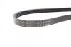 Полікліновий ремінь Poly V® (860 K 4) HUTCHINSON 860K4 (фото 3)
