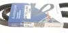 Клиновой ремень (AV 13 LA 950) HUTCHINSON AV13LA950 (фото 5)