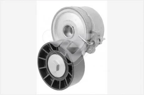 Натяжитель ремня HUTCHINSON T0218