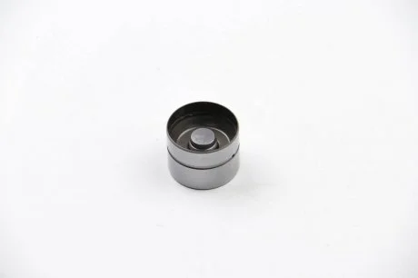 Гидротолкатель VAG AAE/AAH/ABC/ABK/ABT/ACZ/ADP/AEH 96- INA 420 0043 10