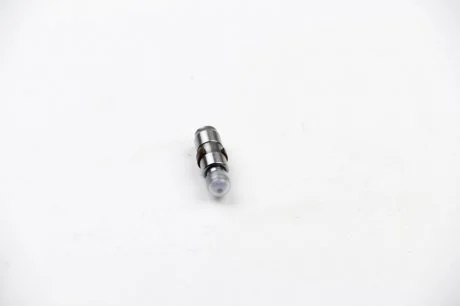 Толкатель клапана VAG 1.4HDI-SLK350 06.98- INA 420 0086 10