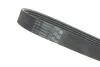 ZESTAW PASKA KLINOWEGO WIELOROWKOWEGO SEAT INA 529016010 (фото 5)