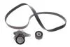 ZESTAW PAS KLIN RENAULT MASTER/OPEL MOVANO 2,3D 14- INA 529 0355 10 (фото 2)