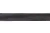 ZESTAW PAS KLIN RENAULT MASTER/OPEL MOVANO 2,3D 14- INA 529 0355 10 (фото 9)