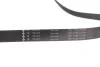ZESTAW PAS KLIN RENAULT MASTER/OPEL MOVANO 2,3D 14- INA 529 0355 10 (фото 10)