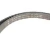 ZESTAW PASKA KLINOWEGO JEEP COMPASS PATRIOT DODGE CALIBER 2.0 CRD 06- INA 529 0515 10 (фото 3)
