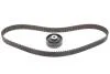 Ремкомплект грм VW Transporter  IV  (ПР-во INA) 530 0153 10