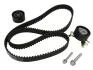 Ремкомплект грм Citroen/Peugeot 0831.65 (ПР-во INA) 530 0238 10
