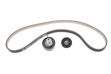 Комплект зубчастих ременів INA 530 0947 10 (фото 1)