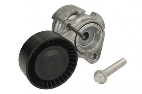 Натяжитель ремня клин.BMW 125i-Z4 3.0si 09.04- INA 534 0252 10