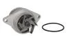 Водяной насос SKODA OCTAVIA I (1U2), 09/96 - 12/10 1.6 (Пр-во INA) 538 0031 10