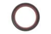 Фото 9 - комплект ланцюга OPEL Z10XE/Z12XE/Z14XEP із шестернями. INA 559 1821 41 Комплект ланцюга OPEL Z10XE/Z12XE/Z14XEP із шестернями. INA 559 1821 41 (фото 9)