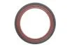 Фото 10 - комплект ланцюга OPEL Z10XE/Z12XE/Z14XEP із шестернями. INA 559 1821 41 Комплект ланцюга OPEL Z10XE/Z12XE/Z14XEP із шестернями. INA 559 1821 41 (фото 10)