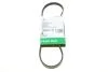 PASEK WIELOROWK. 4PK775 FB4PK775