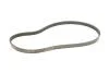 PASEK WIELOROWK. 4PK800 INA FB4PK800 (фото 2)