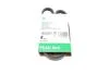 PASEK WIELOROWK. 4PK928 FB4PK928