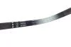 PASEK WIELOROWK. 4PK928 INA FB4PK928 (фото 2)