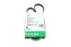 PASEK WIELOROWK. 4PK995 FB4PK995