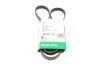 PASEK WIELOROWK. 5PK1255 FB5PK1255