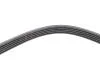 PASEK WIELOROWK. 5PK1255 INA FB5PK1255 (фото 3)