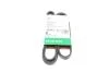PASEK WIELOROWK. 5PK1515 FB5PK1515
