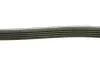 PASEK WIELOROWK. 5PK1800 INA FB5PK1800 (фото 3)