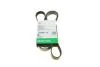 PASEK WIELOROWK. 5PK1815 FB5PK1815