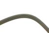 PASEK WIELOROWK. 5PK1815 INA FB5PK1815 (фото 2)