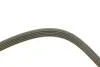 PASEK WIELOROWK. 5PK1815 INA FB5PK1815 (фото 2)