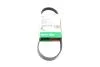 PASEK WIELOROWK. 5PK718 FB5PK718