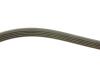 PASEK WIELOROWK. 5PK830 INA FB5PK830 (фото 3)