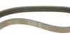 PASEK WIELOROWK. 5PK830 INA FB5PK830 (фото 4)