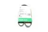 PASEK WIELOROWK. 5PK836 FB5PK836
